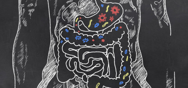 Gut Health